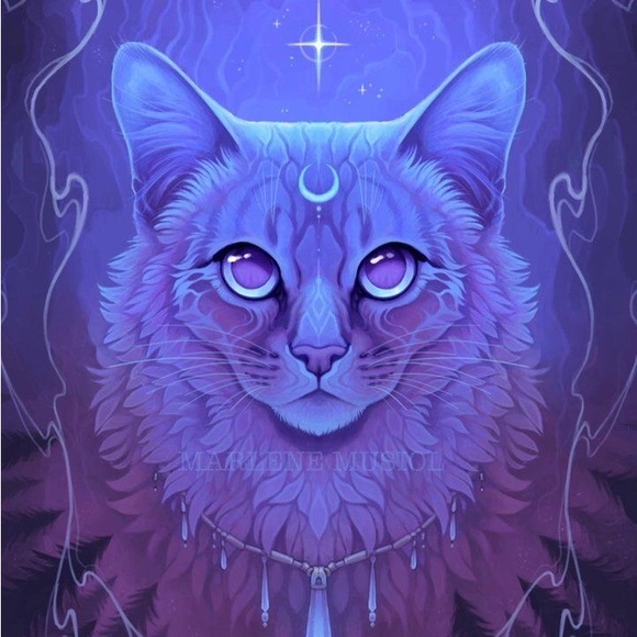 $10 off ANY PURCHASE with code: AMANDASPARK24 - Picture 2 of 4